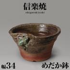  Shigaraki жарение оризия горшок японский стиль бусина ro. есть ширина 34 высота 20me Dakar горшок водяная лилия горшок NHK Shigaraki алый Shigaraki ..... горшок керамика горшок с водой водяная лилия Shigaraki жарение горшок 
