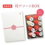 3 месяц до конца Tottori префектура производство клубника тщательно отобранный BOX( маленький )3 вид и больше ассортимент стандарт 8~11 шарик 