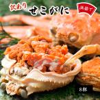  предварительный заказ Boyle ..gani Tottori префектура ... производство есть перевод .....gani100g×8 краб-стригун женский .........