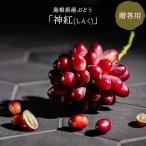  виноград бог .(...).. для 1. Shimane оригинал товар вид вид нет .. сахар раз 20 раз и больше 8 месяц средний .~9 месяц сверху . до. отгрузка 