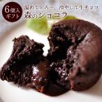 母の日 ギフト 誕生日プレゼント フォンダンショコラ 生チョコケーキ 濃厚チョコレートケーキ 森のショコラ6個入 母の日限定 ラッピング無料