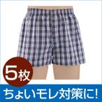 シークレットトランクス 軽度 5枚組