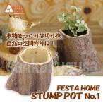 スパイス フェスタホームスタンプポット FESTA HOME STUMP POT NO.01 SFFC1401 切り株ポット ペン立て