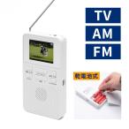 [2026/3/31 до. время ограничено специальная цена ] медведь The kieim на батарейках карман 1 SEG TV& радио 1 шт. 