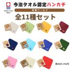 【20%OFF】今治タオル  恐竜 ワールド 刺繍入り ハンカチ 全11種類 セット【 ハンカチタオル 動物 TOWEL COMPANY 三輝商事】