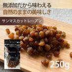 ショッピングレーズン レーズン ドライフルーツ 砂糖不使用 サンマスカット レーズン 250g  無添加 専門店 おすすめ 体にいい ダイエット 人気 食べ方 ヨーグルト 健康効果 食物繊維