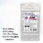 ショッピングルテイン カシスベリー+ルテイン 30日分 2粒にカシスパウダー200mg、ルテイン56mg、ベリーブレンド50mg、メグスリノキエキス40mg、ビルベリー20mg配合　体臭　加齢臭