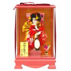 羽子板 お祝い アクリルケース パールピンク 8号 ケース飾り 正月飾り 初正月