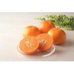  Nagasaki специальный отбор pon can 2L 5 kilo превосходящий товар .... праздник . видеть Mai ... внутри праздник рождение праздник 