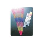  Marushin рыболовные снасти (DRAGON) Rainbow изменение сеть (30mm глаз ) M