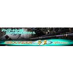  Uzaki Nisshin (NISSIN) морской лещ *.. включая стержень GRAYZER морской лещ TNTune 0.6 номер 5.3m [. морской лещ ]