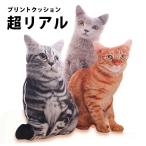 猫 抱き 枕 インテリア 猫 グッズ 抱き枕 ぬいぐるみ クッション プリント クッション 茶トラ 猫グッズ プレゼント リアル アメリカンショートヘア アニマル