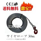 ワイヤーロープ30m ハンドウインチ 万能携帯ウインチ チルホール 1600kg専用 林業、機械の据え付け、重量物作業、緊急時対応厳選