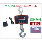 デジタルクレーンスケール1000kg/0.5kg　吊はかり　最大測定可能重量1.0t 充電式 防塵 精密 計量 吊りはかり 吊り秤 吊秤 電子秤
