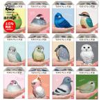 てのりフレンズ10 12種フルコンプリートセット 1BOX 食玩 バンダイ セキセイインコ 桜文鳥 シルバー文鳥 動物 ソフビ