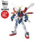 MG 1/100 Gガンダム 機動戦士ガンダム 機動武闘伝Gガンダム プラモデル バンダイ スピリッツ BANDAI SPIRITS ガンプラ