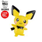  Pokemon пластиковая модель коллекция [24] Quick!! 24pi туба n большой Spirits BANDAI SPIRITSpoke pra Pokemon Pocket Monster пластиковая модель 