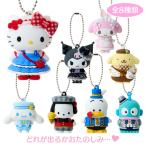  Sanrio герой z Secret эмблема очарование (2026 год Sanrio герой большой . no. 4. Sanrio ko-te коллекция )