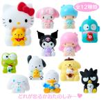  Sanrio герой z купальный стоимость имеется эмблема вода ....( баловство f линзы )