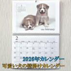 壁掛けカレンダー カレンダー 2022年 可愛い 犬 の カレンダー B4