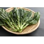  широкий восток kai Ran 100g свежий овощи China производство осмотр товар завершено ....g