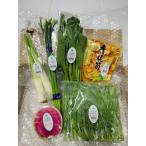 新野菜セット　5種類　簡単レシピ付き　