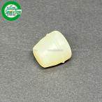 クボタ 田植機用 植え付け部 クッションゴム 1個