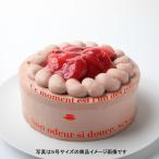 ショッピングバースデーケーキ バースデーケーキ 誕生日ケーキ 母の日 スイーツ ケーキ 誕生日 いちごチョコ生クリームケーキ 7号 21センチ 送料無料 記念日ケーキ チョコケーキ