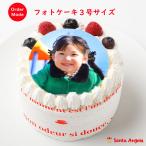 写真ケーキ苺生クリーム3号9センチ1名様分：送料無料/プリントケーキ/画像ケーキ/誕生日ケーキ/バースデーケーキ/記念日/お祝い/内祝い/サプライズ