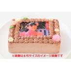 ショッピングバースデーケーキ バースデーケーキ 誕生日ケーキ 母の日 スイーツ ケーキ 誕生日 写真ケーキ フォト プレート 付き プリント バースデー 記念 お祝い チョコ5号 15×12センチ