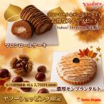 ヤフーショッピング限定２点セット訳...