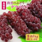 предварительный заказ tela одежда превосходящий товар примерно 1.0kg(5~6.)] Shimane .. город производство tela одежда производство земля прямая поставка от производителя 