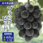 秀品 約2.0kg(3〜5房) ブラックビート 島根県出雲市産