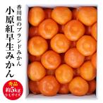 秀品 約5.0kg(S〜Lサイズ) 香川県産 小原紅みかん みかん 小原紅早生 果物ギフト くだものギフト 贈答用みかん 果物 くだもの フルーツ 贈答品 お歳暮 送料無料