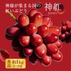  предварительный заказ бог .... превосходящий товар примерно 1.0kg(1~2.)] Shimane .. город производство 20 раз и больше. высота сахар раз прямая поставка от производителя 