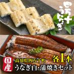 国産 高級うなぎ 白・蒲焼き 高知県産【鰻 約120g・110g】 鰻 割烹 ウナギ 専門店 高知県四万十川 送料無料 冷凍