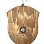 ビカクシダ　ハンギング