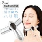 ショッピング美顔器 美顔器 美顔ローラー 安心の日本メーカー 美容ローラー マイクロカレント 美容器具 プローナV5type