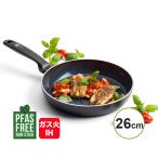 �t���C�p�� �g���m 26cm PFAS�t���[ IH/�K�X�Ή� �Z���~�b�N�R�[�e�B���O �H���� �}�O�j�[�g���� CC010931-104 �O���[���p��