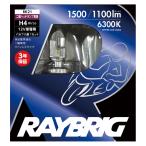 LEDヘッドランプ 二輪車用 H4 6300K 1500/1100lm 12V 16/16W RAYBRIG レイブリック 車検対応 3年保証 RK21 スタンレー電気