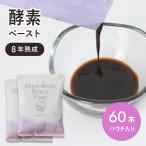 マクロビオティック ビューティーペースト パウチ 60本 美人研究所 植物発酵原液 オーガニック 発酵食品 野菜 果物 酵素ペースト 酢酸
