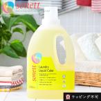 2個セット ソネット 洗