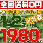 枝豆 山形産１.２キロ箱だだちゃ豆ご家庭用 メガ盛激安超目玉