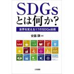 SDGs¤È¤Ï²¿¤«¡©