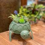  желтохвост Kita toru посадочная машина цветочный горшок черепаха 4841 симпатичный pop садоводство . двор ... садоводство произведение искусства украшение интерьер искусственная зелень бардачок 