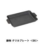 値下げ 鉄板 バーベキュー 鋳物 プレート B6 縁あり 幅18 奥行12.5 高さ2 フライパン 取っ手付 BBQ キャンプ アウトドア パエリア 焼肉