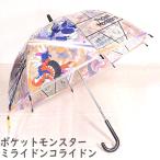 子供ビニール傘 ポケットモンスター ミライドン コライドン