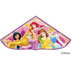  герой кайт Disney Princess 