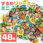 ショッピングミニジャーキー タクマ食品 するめジャーキー ミニ 45袋入り BOX お菓子 駄菓子 イベント ゆうパケット可