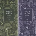  один кисть . лес. прогулка 30 листов 2 рисунок комплект .. пачка возможно . покупка 